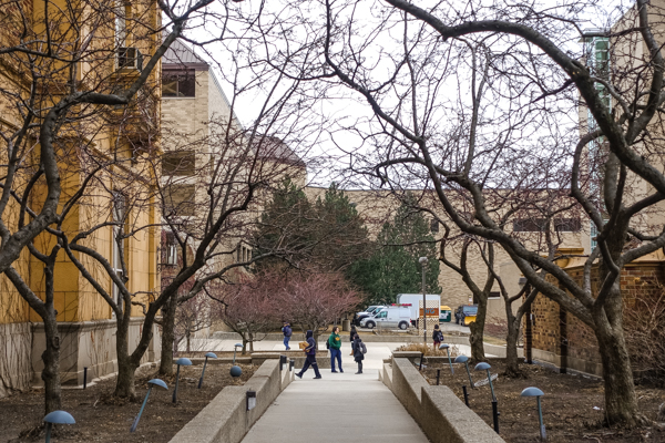 Students walk through Wayne State's Midtown campus