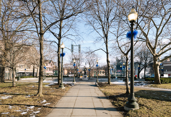 Trees at Grand Circus Park