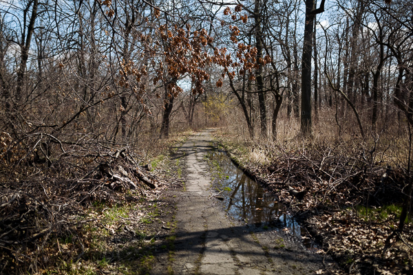 Nature trail in Belle Isle