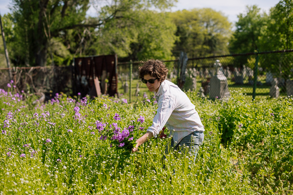 Collecting "wild brassica"