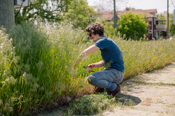 Cutting some grass