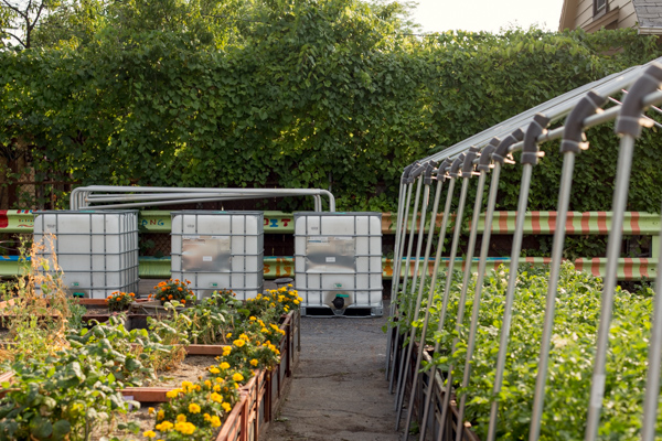 Southwest Detroit's Cadillac Urban Garden
