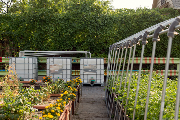 Southwest Detroit's Cadillac Urban Garden