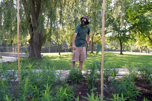 Volunteer Dan Scarsella waters a recently planted butterfly garden