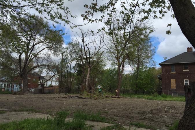 Cleared land near Neinas Elementary School