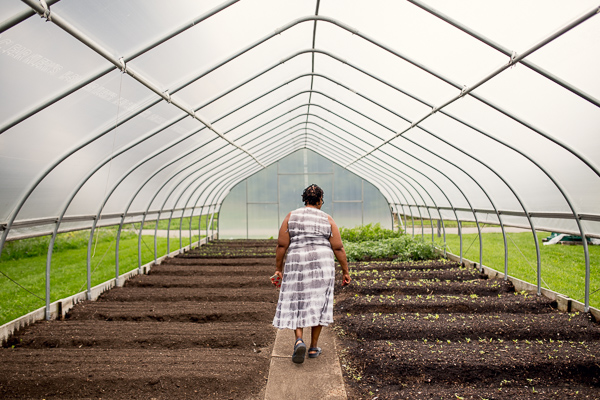 Jerry Hebron inspecting plants in Oakland Avenue Urban Farm's hoop house