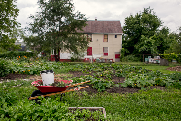 Oakland Avenue Urban Farm