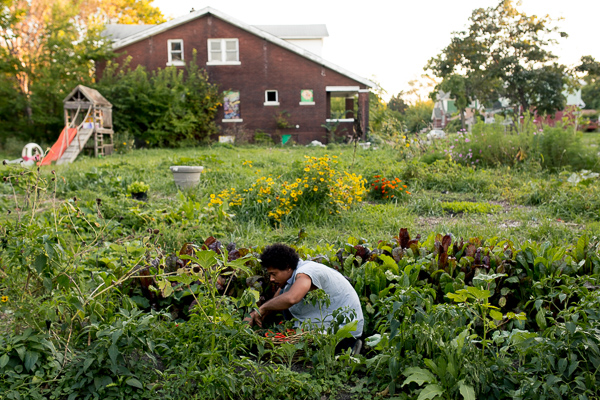 Magnetic Sun, Erin Cole's husband and co-owner of Nurturing Our Seeds