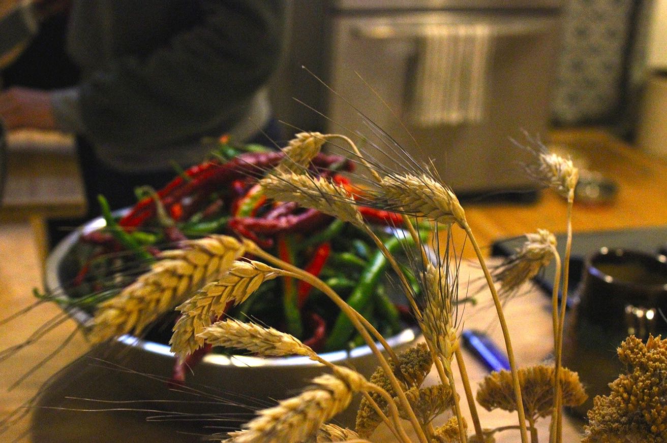 Hot peppers from the farm, lined up for hot sauce processing in the Coriander kitchen