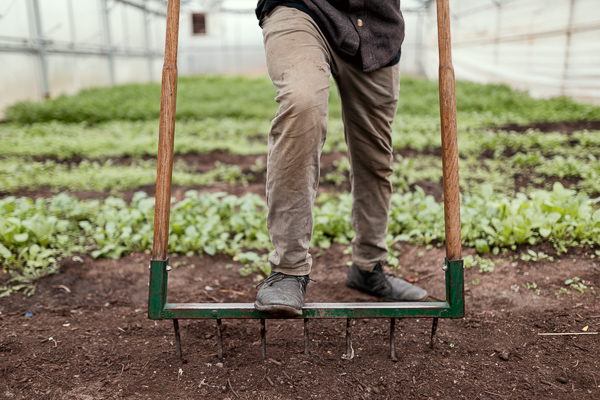 Akello Karamoko using a broad fork at Keep Growing Detroit's farm off 3rd Street and Grand River