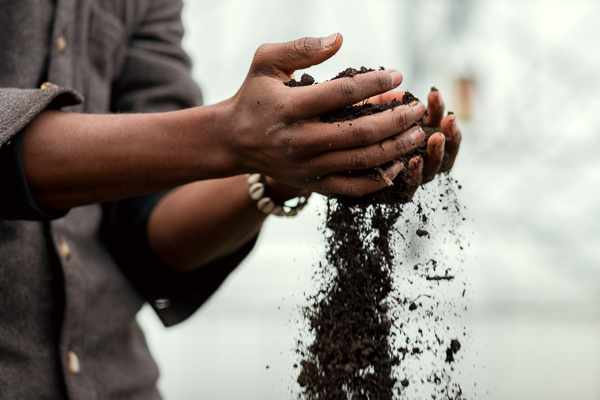 Karamoko holding compost