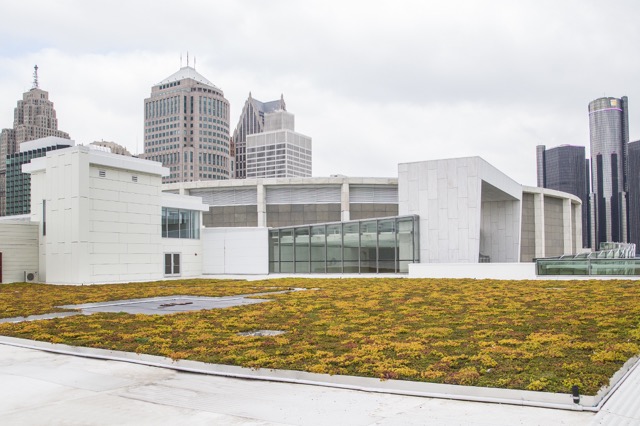 Cobo Center living roof