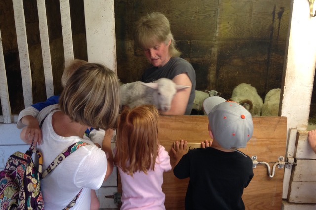 A field trip to a farm in Lake Ann