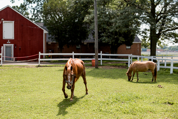 The Buffalo Soldiers Horse Stables in Rouge Park