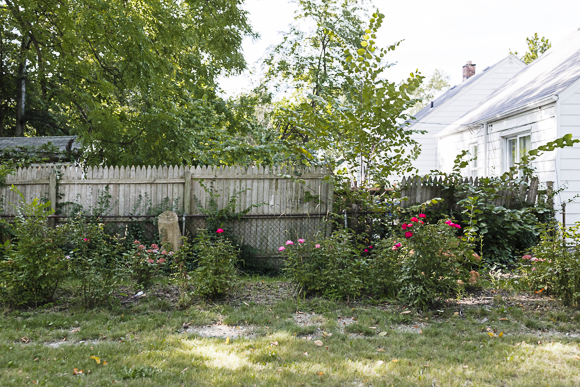 The "friendly fence" along Stahelin Avenue