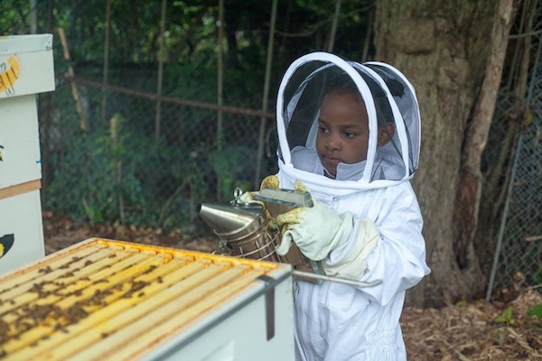 Junior beekeeper Skylar Rose Gilliam, 5, of Detroit, uses the smoker tool to calm the bees