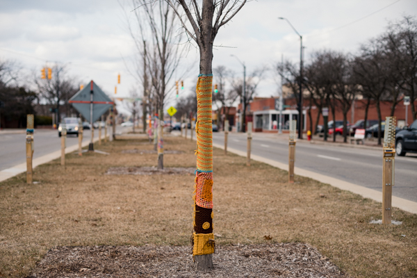 Knitted tree wrapping in the Livernois median by Detroit Fiber works