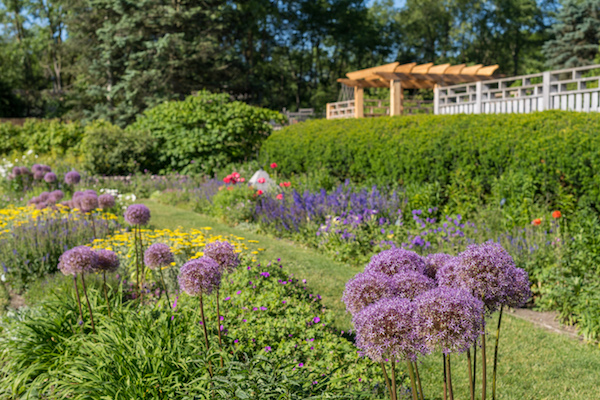 Perennial Garden at Matthaei Botanical Gardens