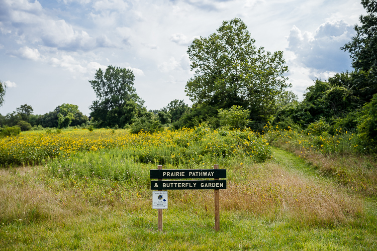 Praire Pathway in River Rouge Park