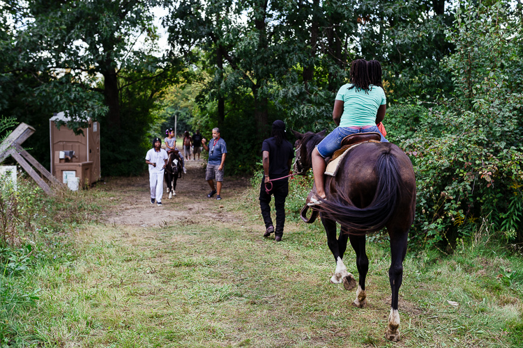 Horse rides