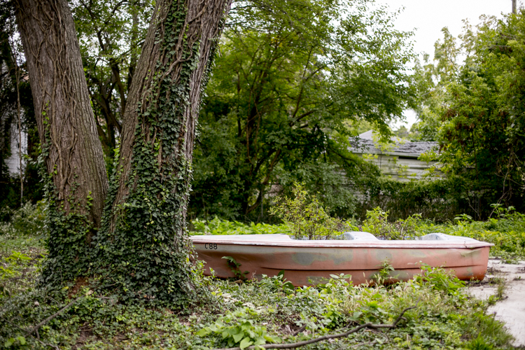 Plants in a boat near the Manistique Community Treehouse