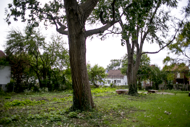 Site of the Manistique Community Treehouse