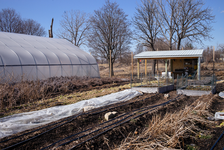 Coriander Farm is located near Eastern Market.