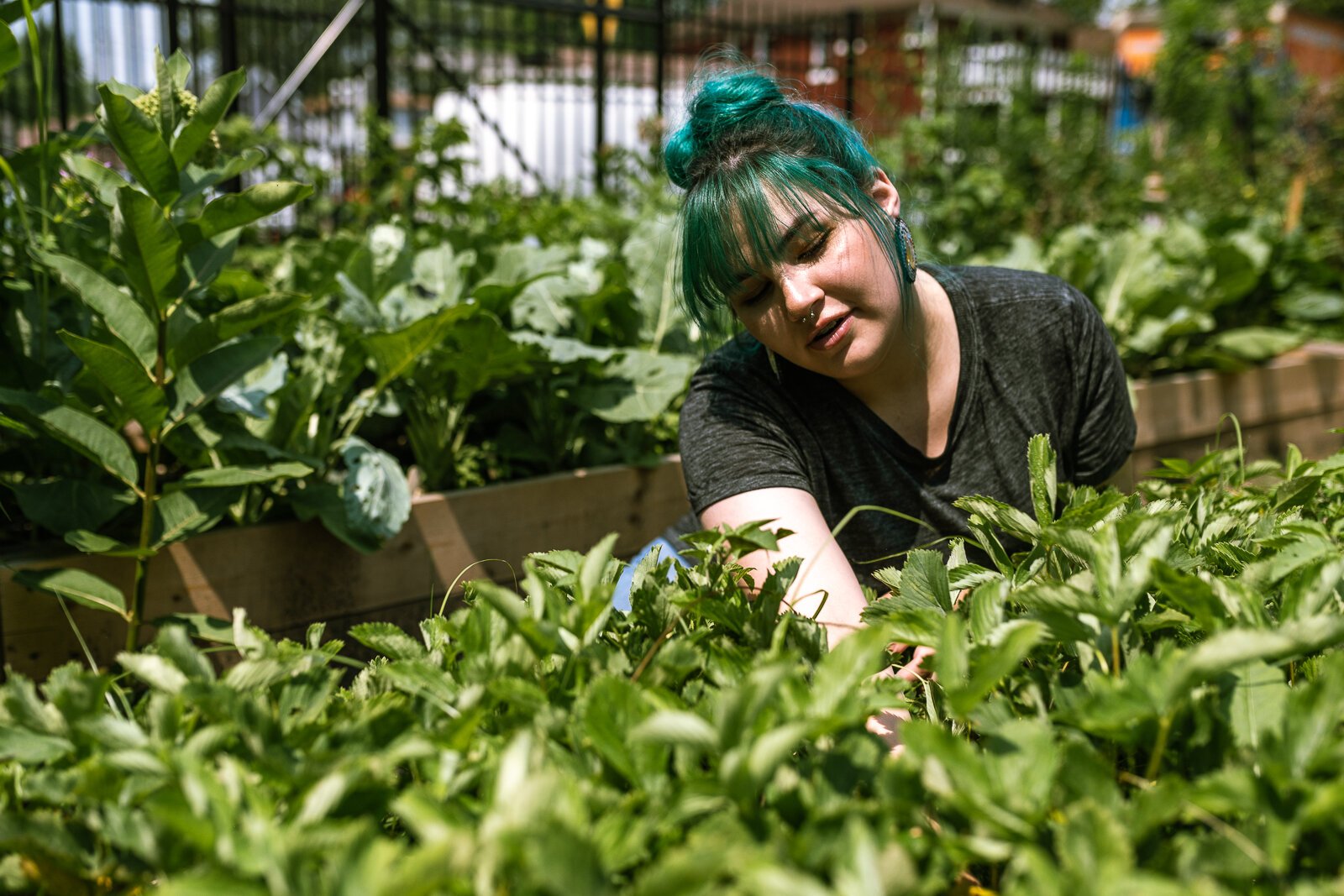 Lauren Potorek in AIHFS' garden.