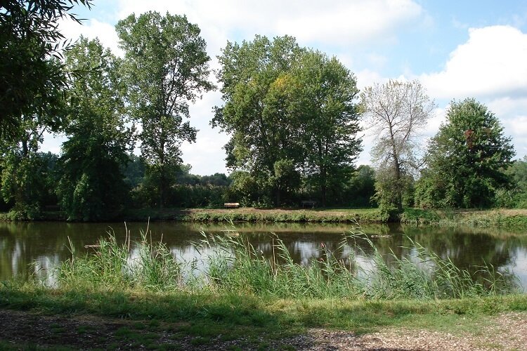 A scenic pond at Lake St. Clair Metropark