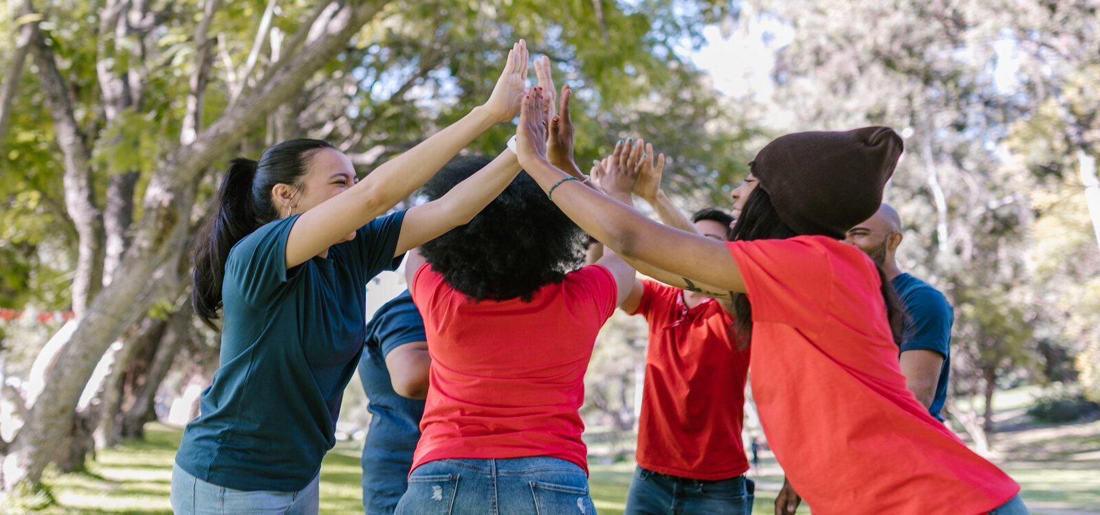 Nonprofit Journal Project Continues