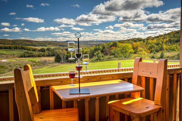 The view at Petoskey Farms Vineyard & Winery
