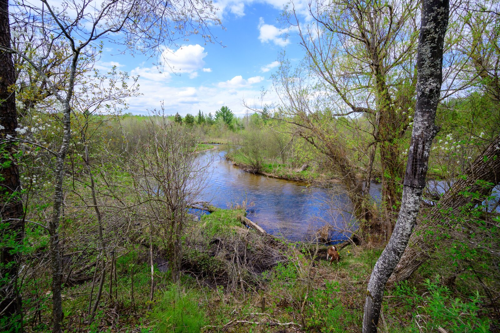 Pigeon River