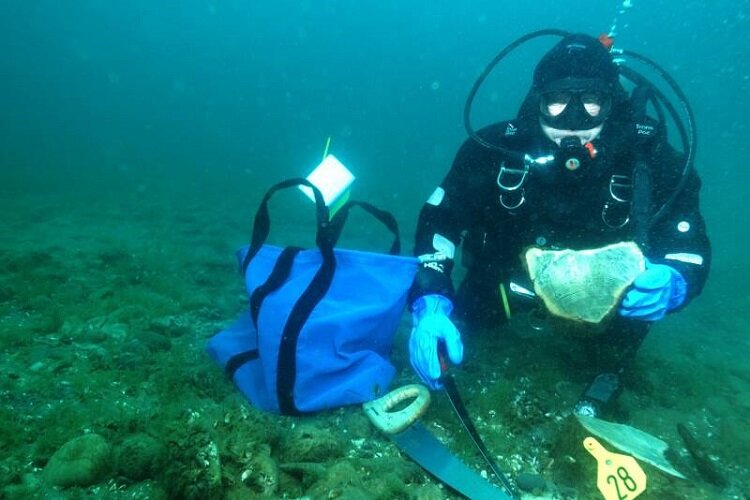 A NOF diver engages in underwater research.