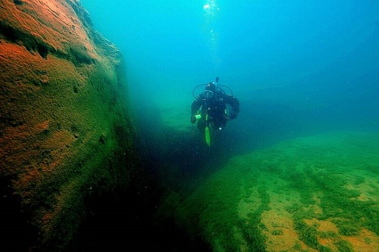 An NOF diver takes a scenic swim.