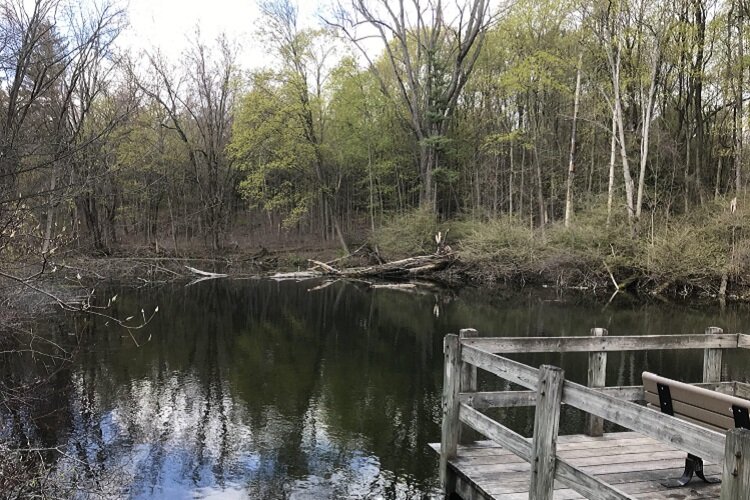 Reflection Pond at Stony Creek.