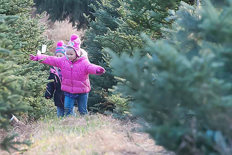 A little one enjoys the tree farm. Photo by David Trumpie