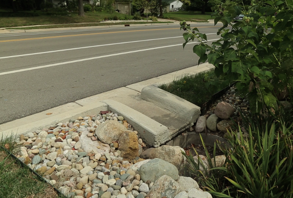 Bioswales help filter road and parking lot runoff at IMAX Headquarters in Mississauga, Ontario.