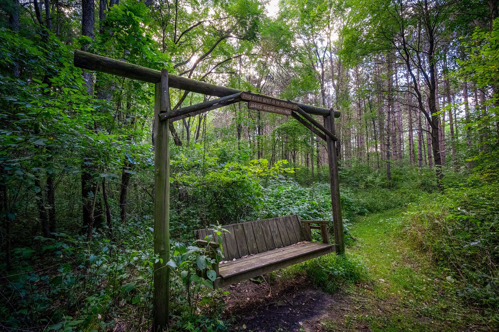 Sutherland Nature Sanctuary, Metamora. Photo by Doug Coombe.