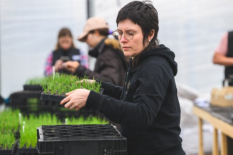 A volunteer works at The Farm At Trinity Health. 