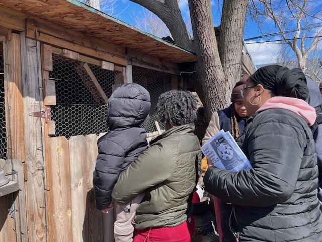 Georgia Street Community Collective offers a chicken keeping class